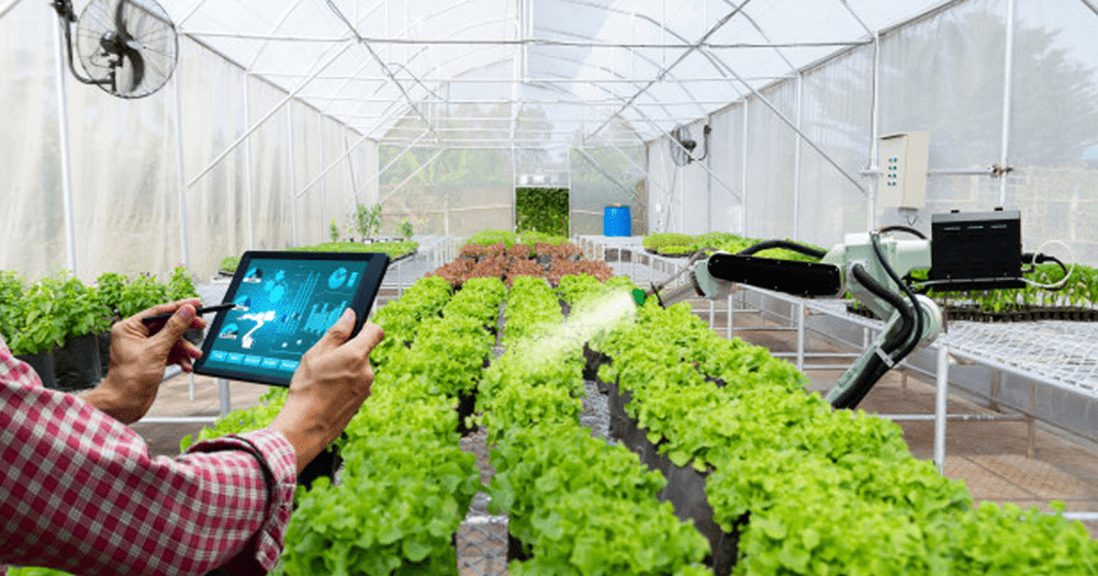 Vật tư & thiết bị nông nghiệp